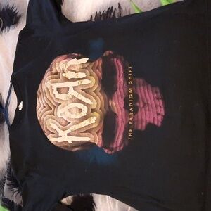 Korn The Paradigm Shift